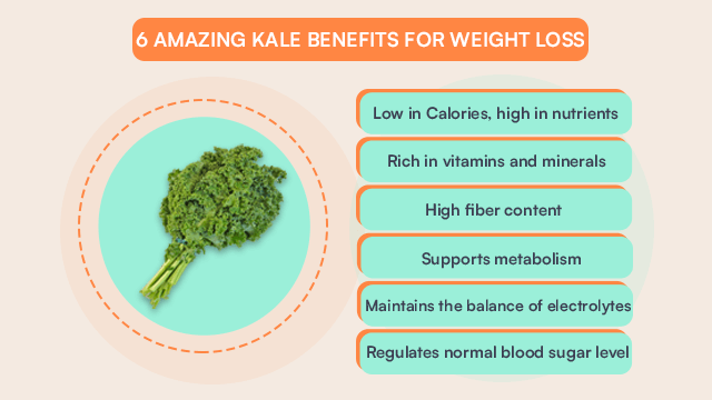 6 Amazing kale  Benefits For Weight Loss