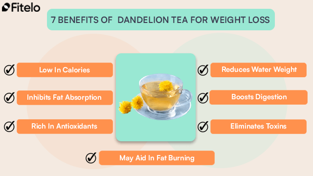 Top  7 Benefits Of  Dandelion Tea For Weight Loss