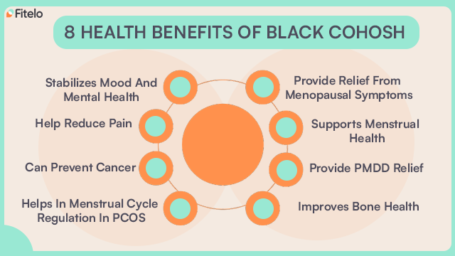 8 Health Benefits Of Black Cohosh