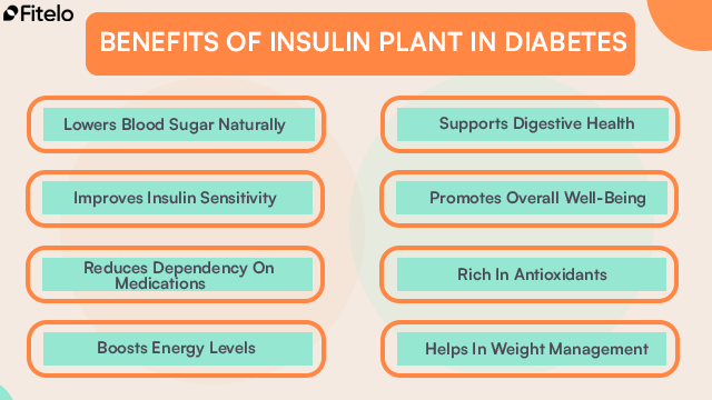 benefits of insulin plant for diabetes