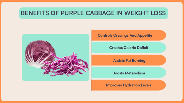 Benefits of purple cabbage in weight loss