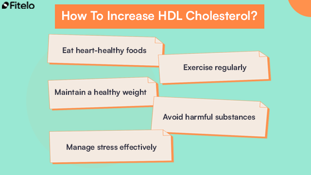 how to increase HDL cholesterol