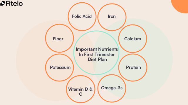 nutrients in first trimester diet plan