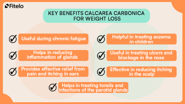 Key Benefits Calcarea Carbonica For Weight Loss