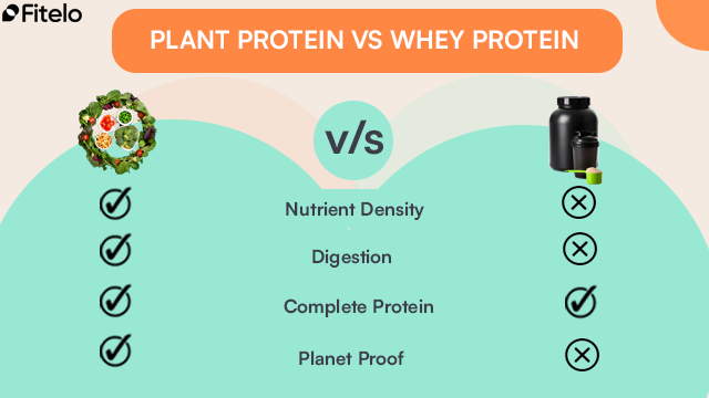 plant protein vs whey protein