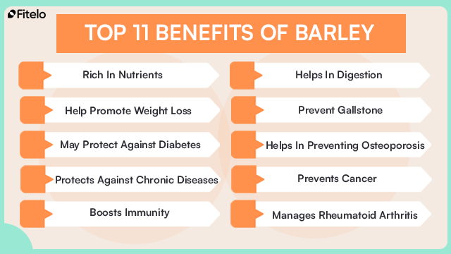 Top 11 Barley Benefits 