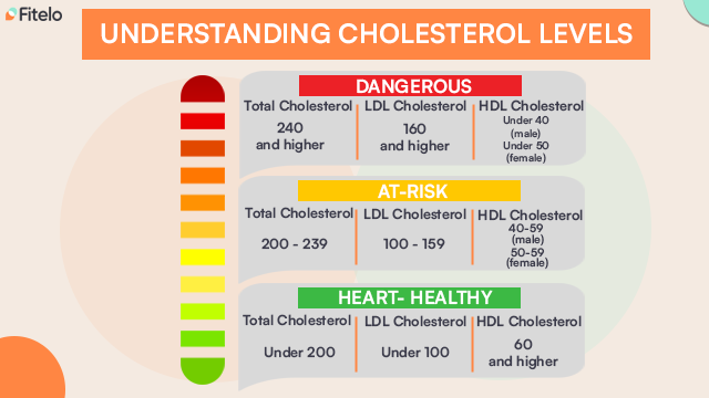 understanding cholesterol levels