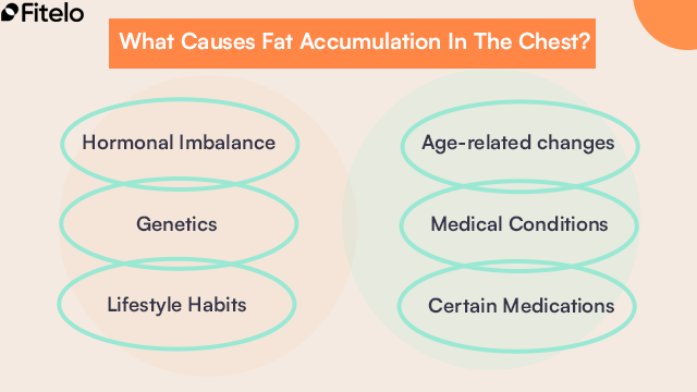 What Causes Fat Accumulation In The Chest?