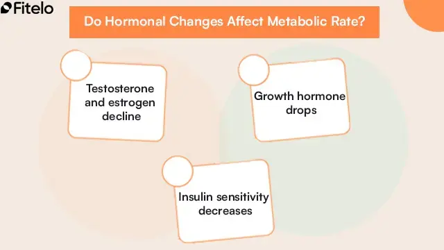 Do Hormonal Changes Affect Metabolic Rate